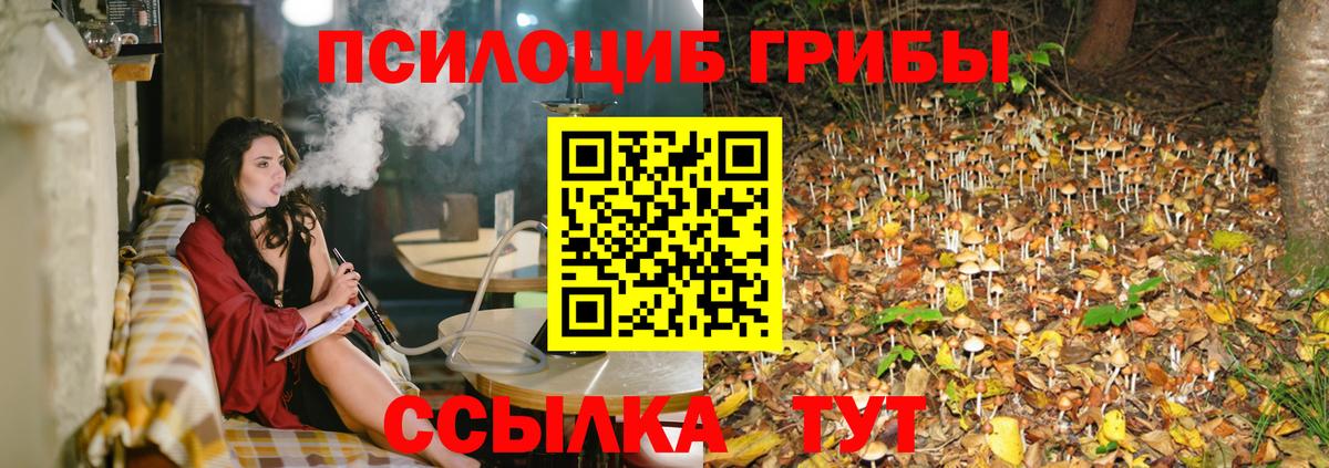 Псилоцибиновые грибы Psilocybe  Вход с VPN  Луховицы 